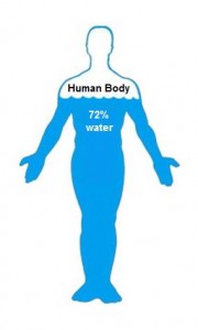 How Much Water Is In The Human Body